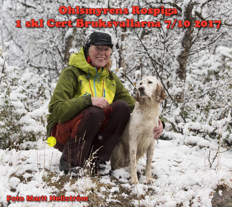 171007 rospiga1skl_cert22.jpg